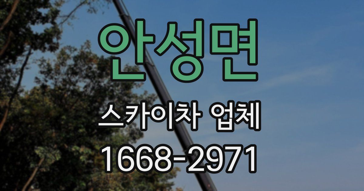 안성면 스카이차 업체