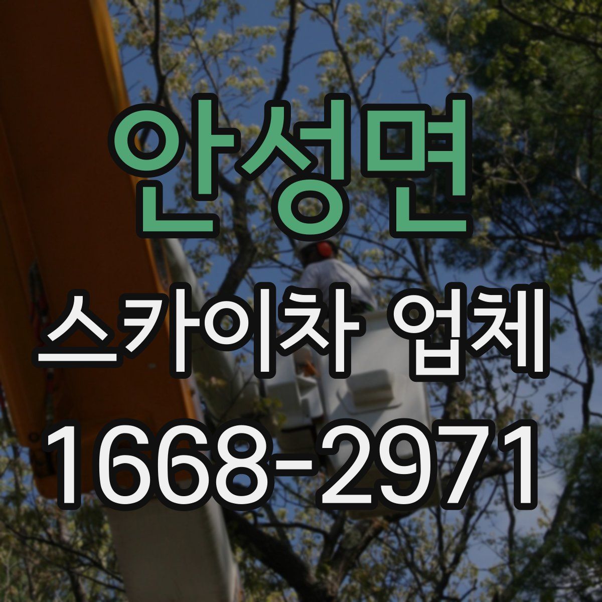 안성면 스카이차 업체
