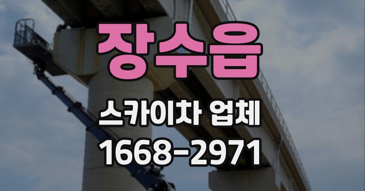 장수읍 스카이차 업체