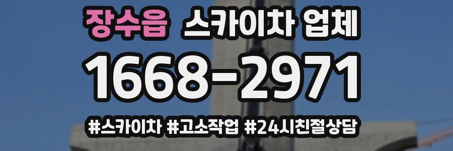 장수읍 스카이차 업체
