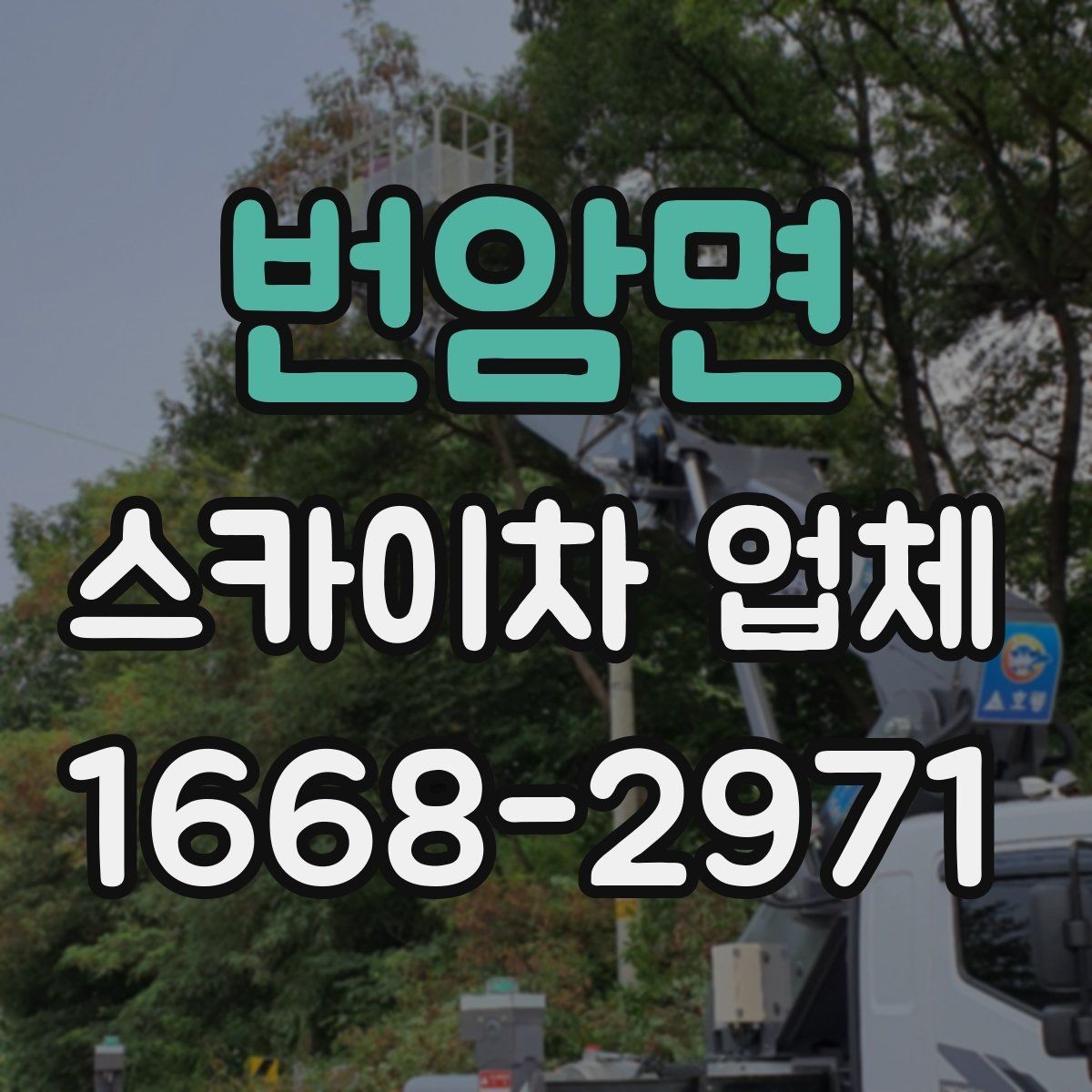 번암면 스카이차 업체 이용 절차와 준비사항