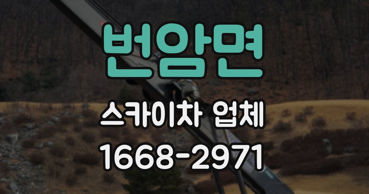 번암면 스카이차 업체