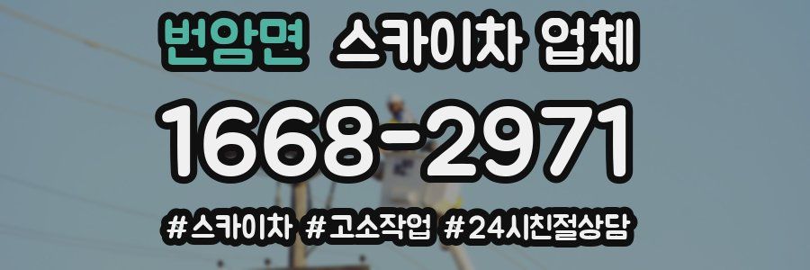 번암면 스카이차 업체