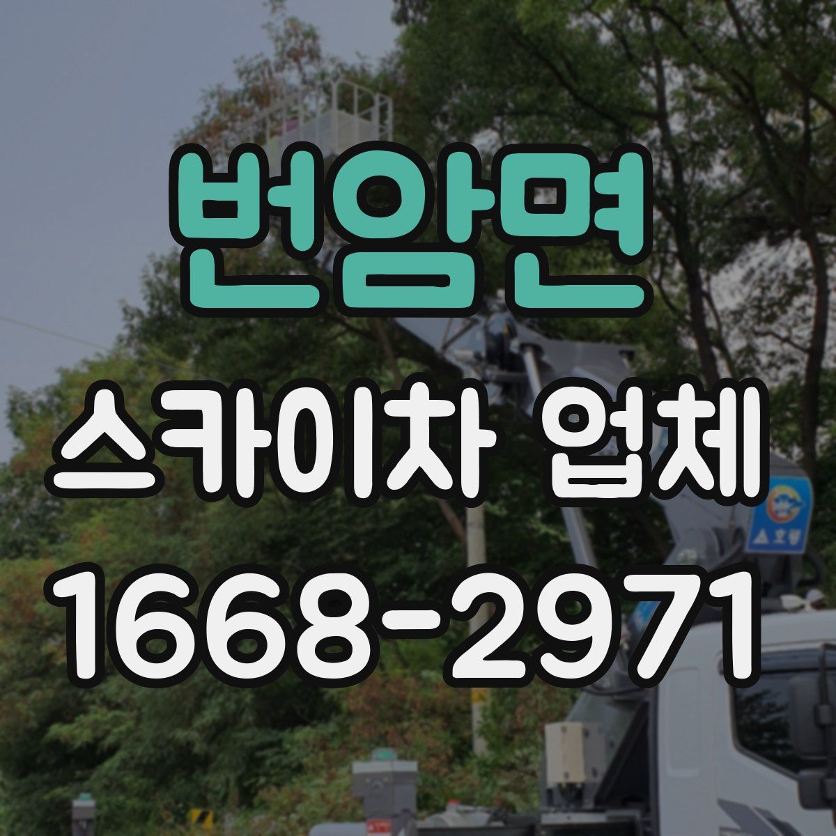 번암면 스카이차 업체
