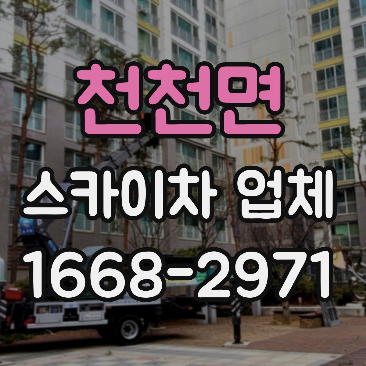 천천면 스카이차 업체