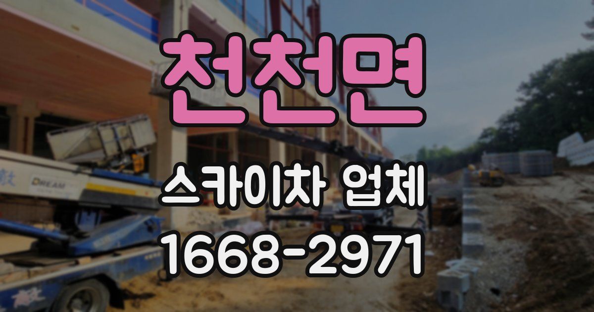 천천면 스카이차 업체