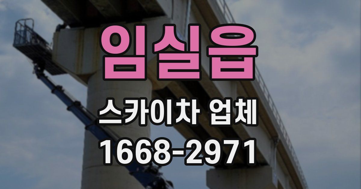 임실읍 스카이차 업체