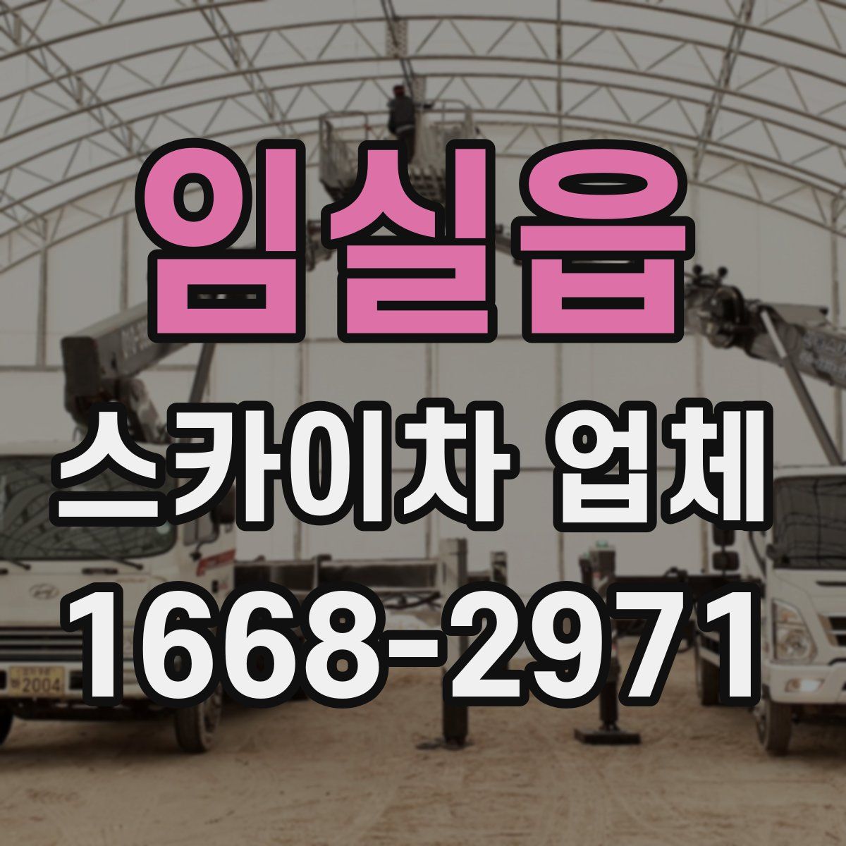임실읍 스카이차 업체
