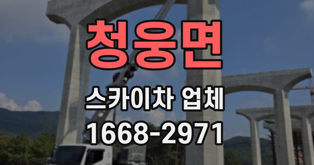 청웅면 스카이차 업체