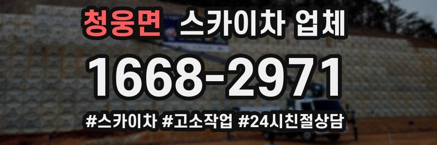 청웅면 스카이차 업체