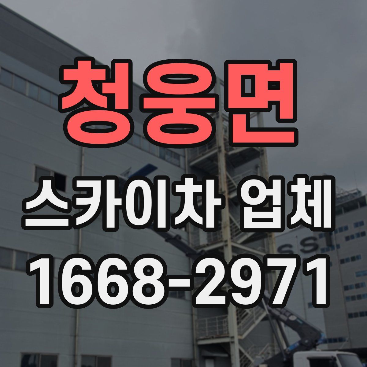 청웅면 스카이차 업체