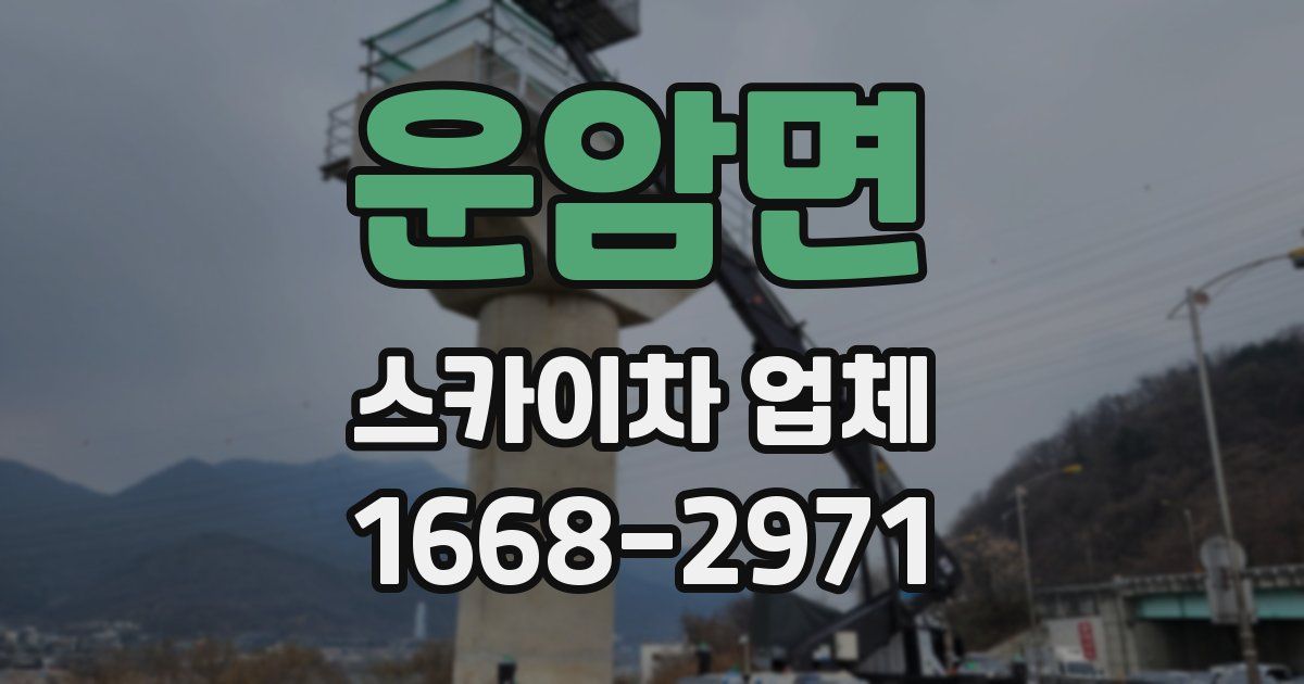 운암면 스카이차 업체