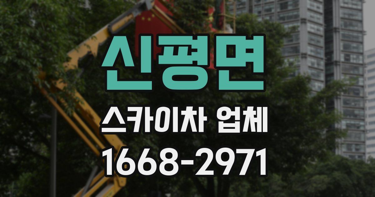 신평면 스카이차 업체