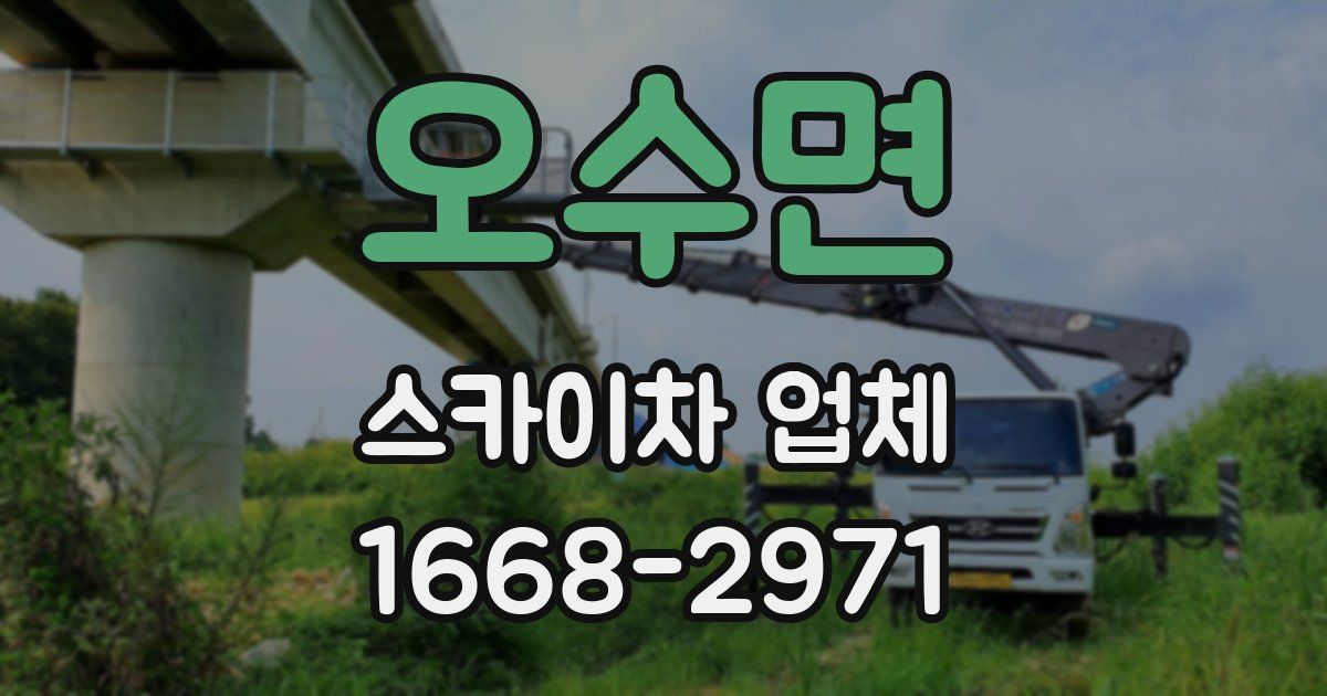 오수면 스카이차 업체