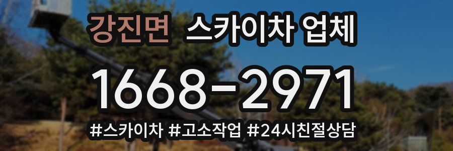 강진면 스카이차 업체