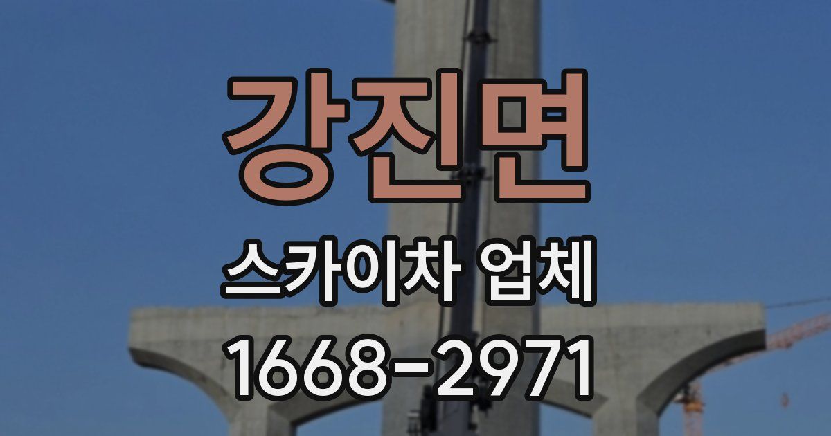 강진면 스카이차 업체