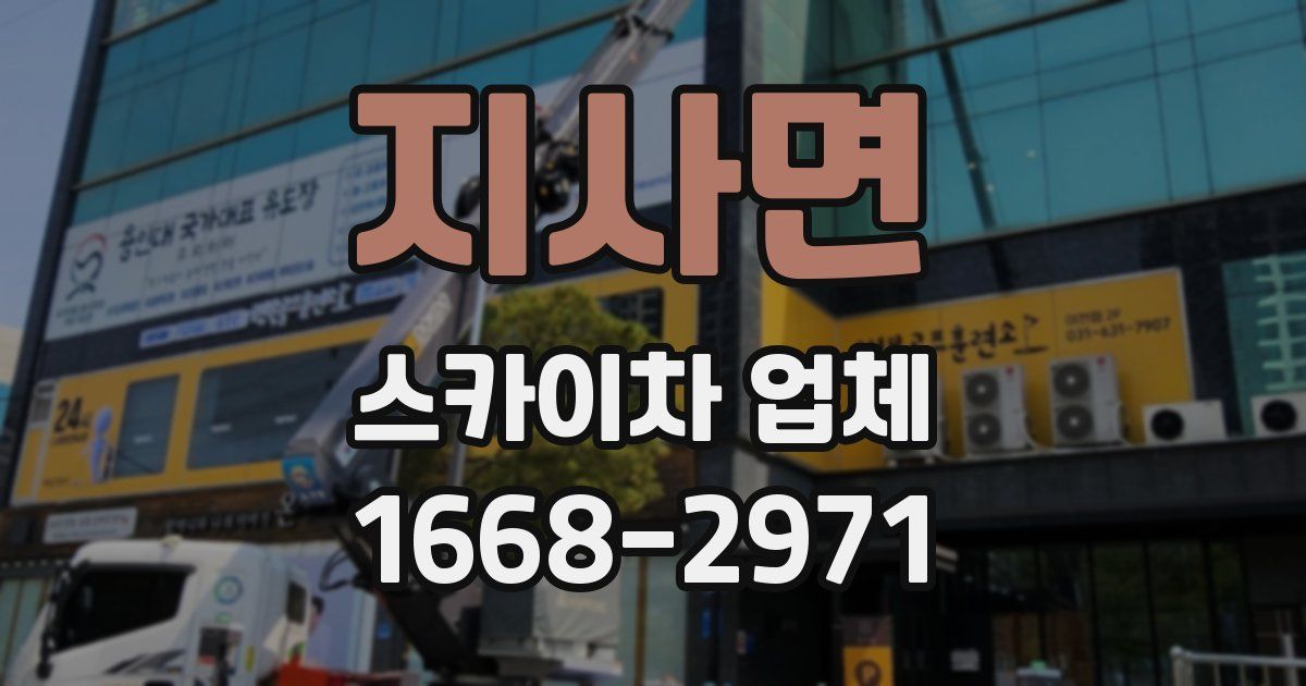 지사면 스카이차 업체