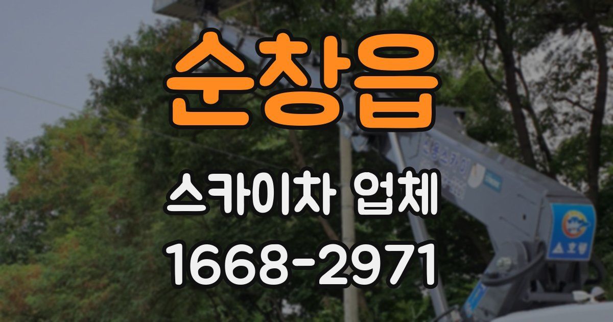 순창읍 스카이차 업체