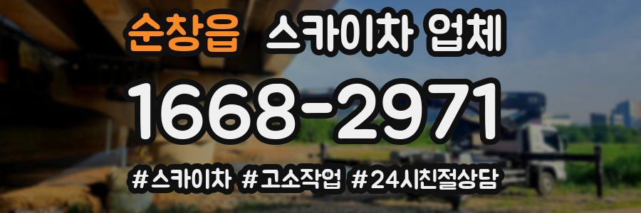 순창읍 스카이차 업체