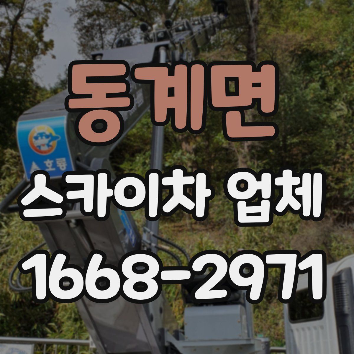 동계면 스카이차 업체