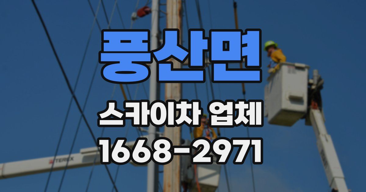 풍산면 스카이차 업체