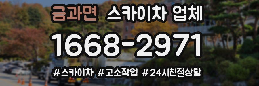 금과면 스카이차 업체