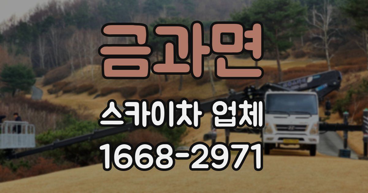 금과면 스카이차 업체