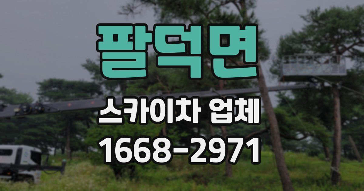 팔덕면 스카이차 업체