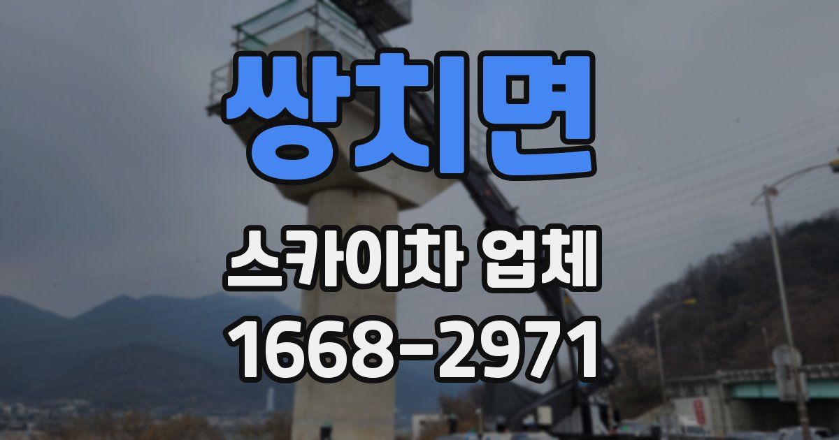 쌍치면 스카이차 업체