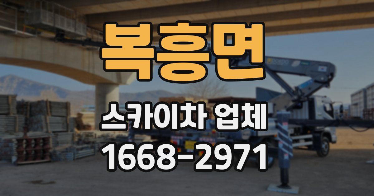 복흥면 스카이차 업체