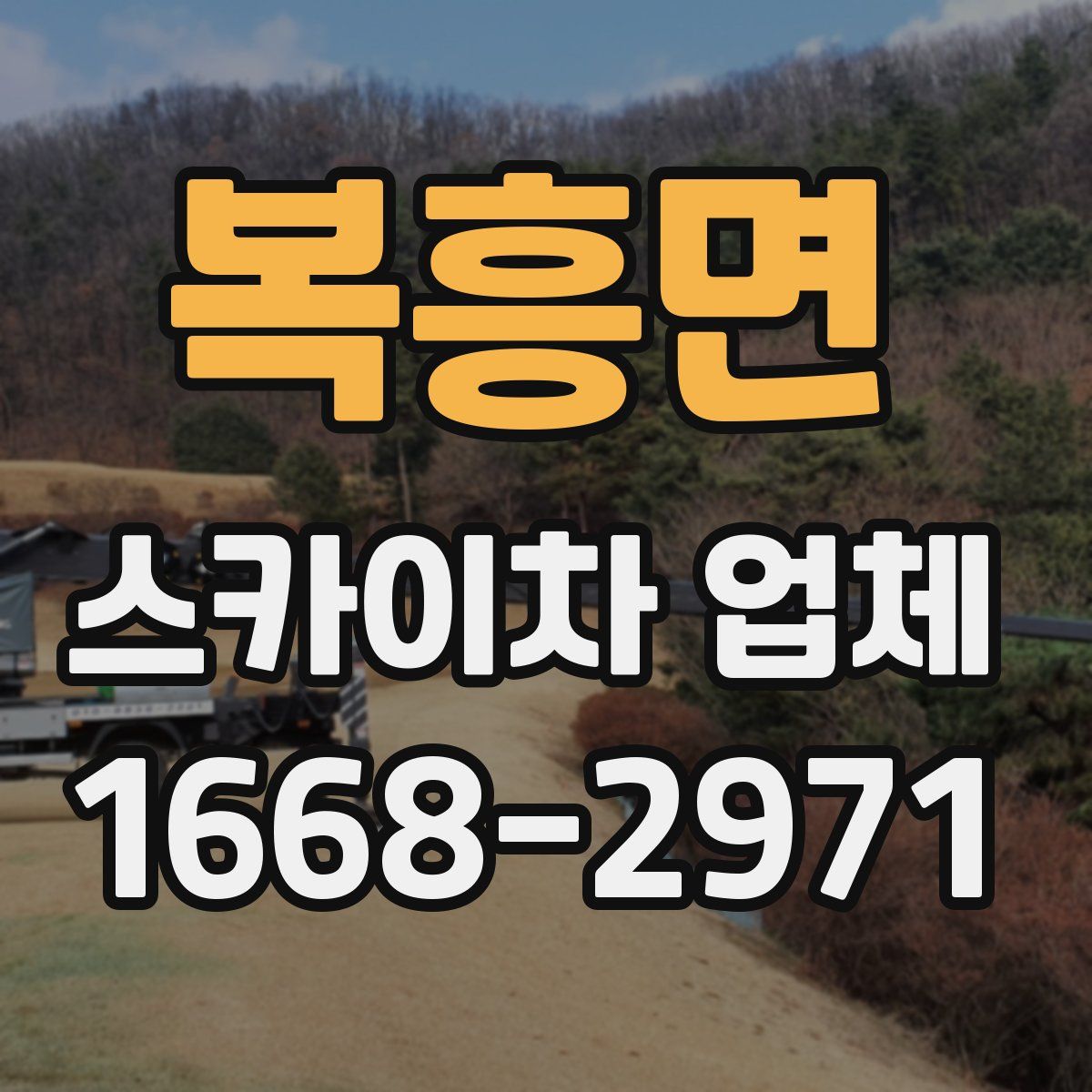 복흥면 스카이차 업체