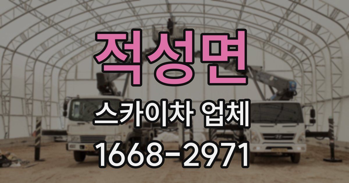 적성면 스카이차 업체