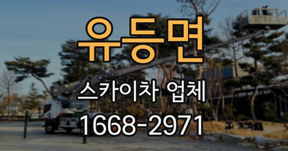 유등면 스카이차 업체