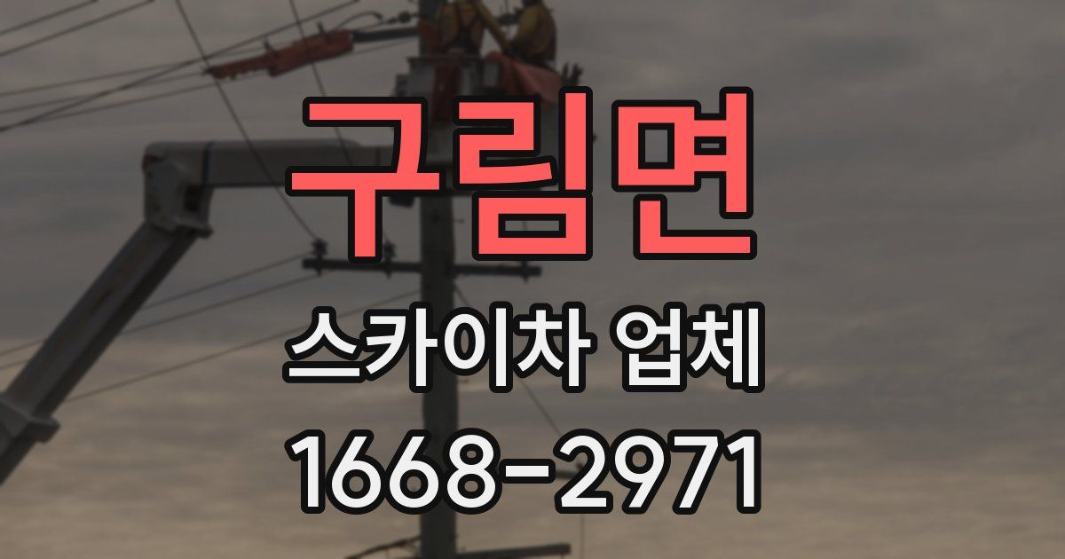 구림면 스카이차 업체