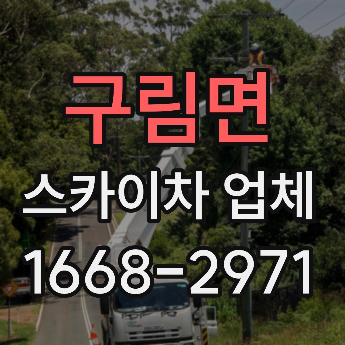 구림면 스카이차 업체