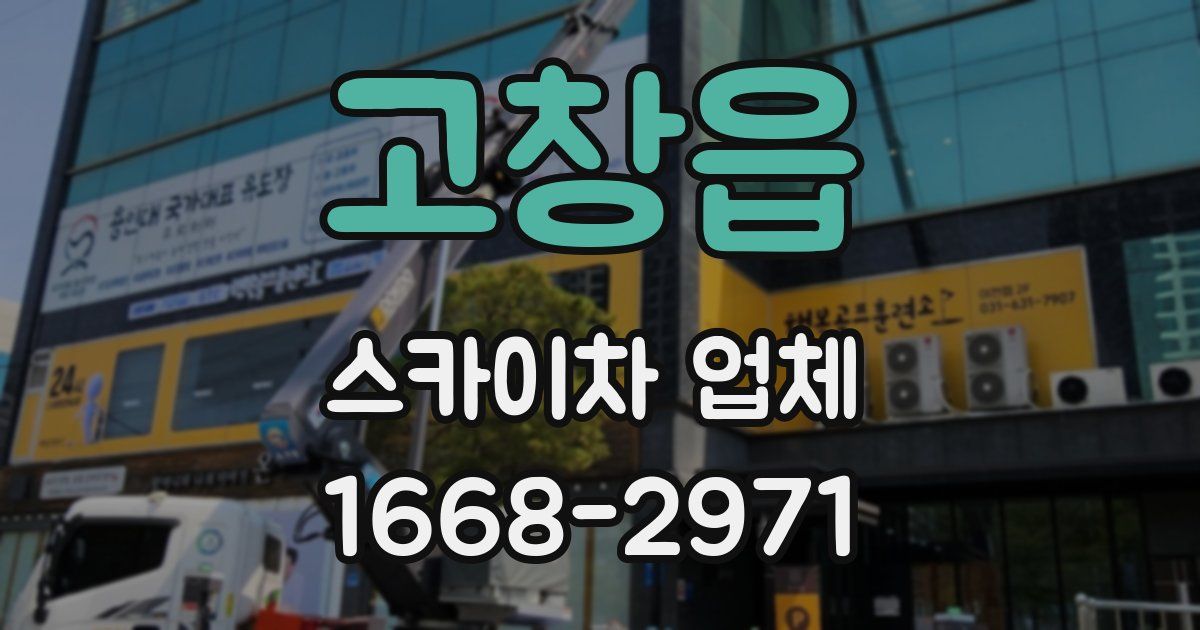 고창읍 스카이차 업체