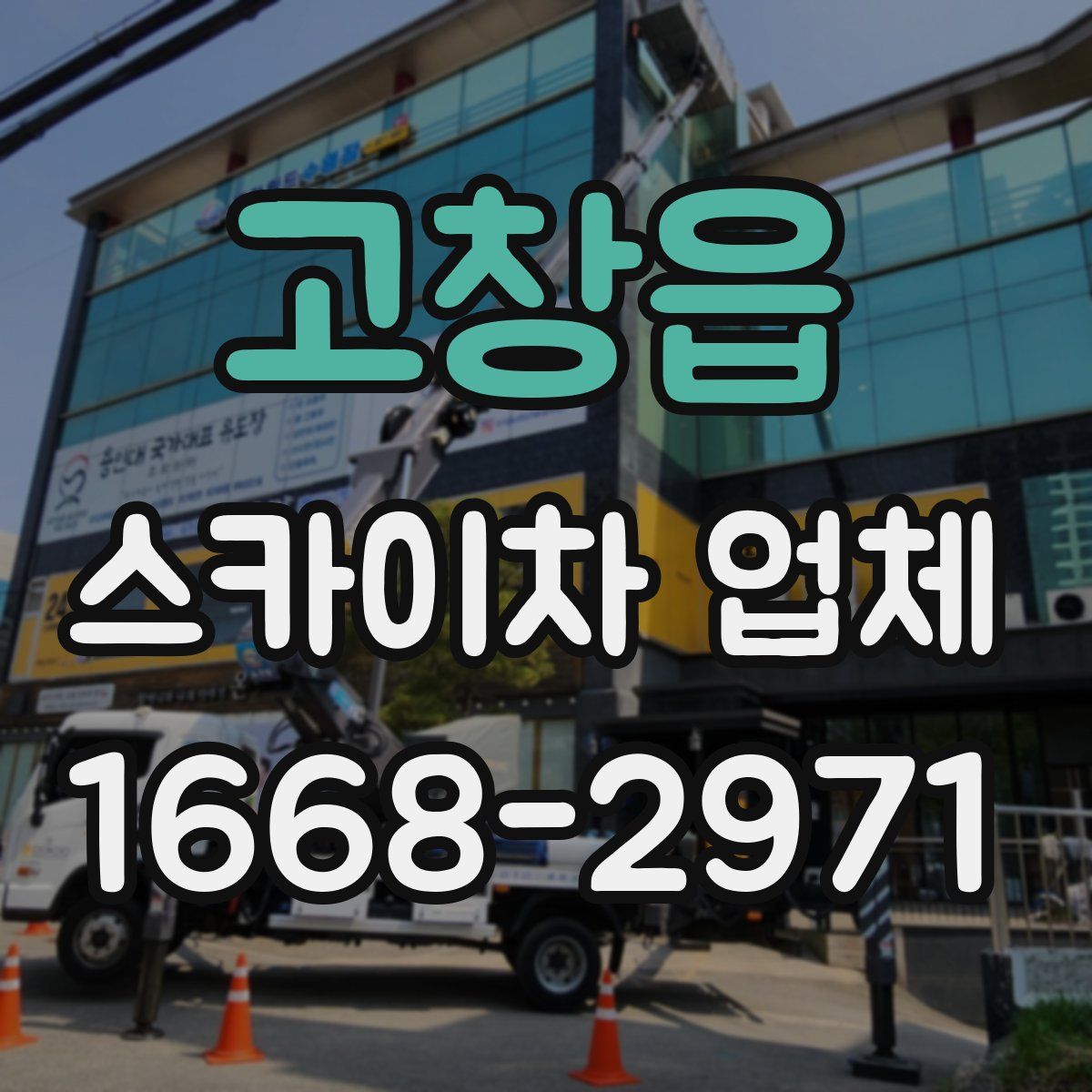 고창읍 스카이차 업체