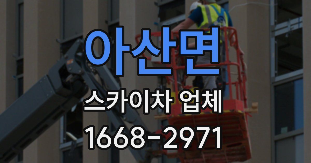 아산면 스카이차 업체