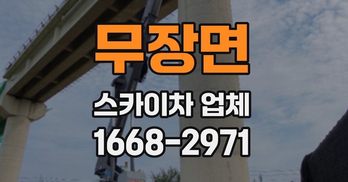 무장면 스카이차 업체
