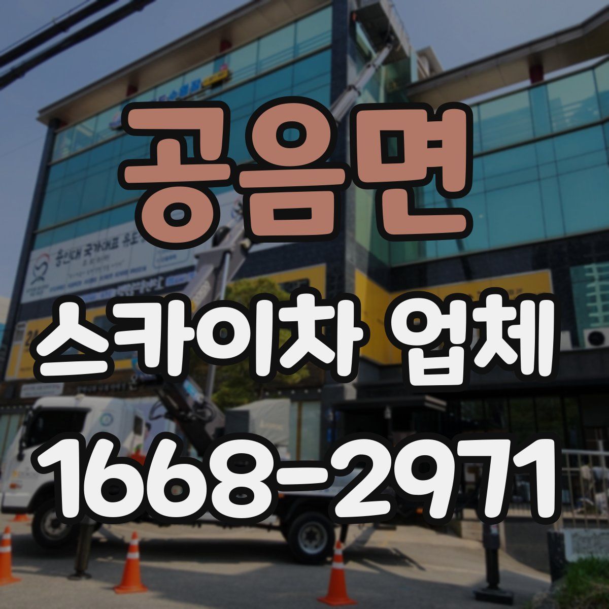 공음면 스카이차 업체