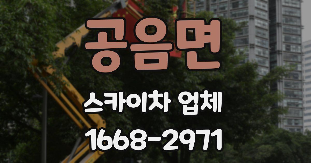 공음면 스카이차 업체