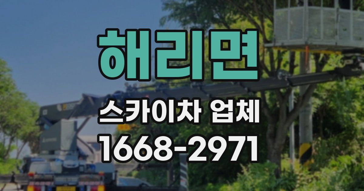 해리면 스카이차 업체