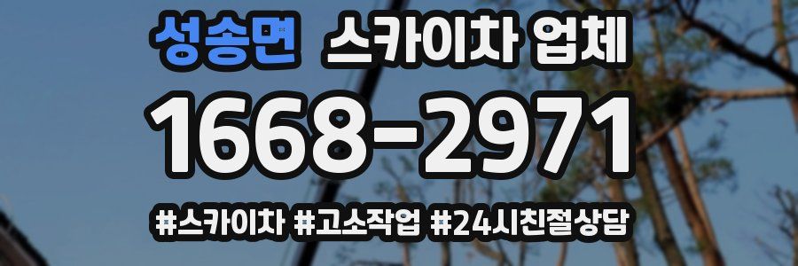 성송면 스카이차 업체
