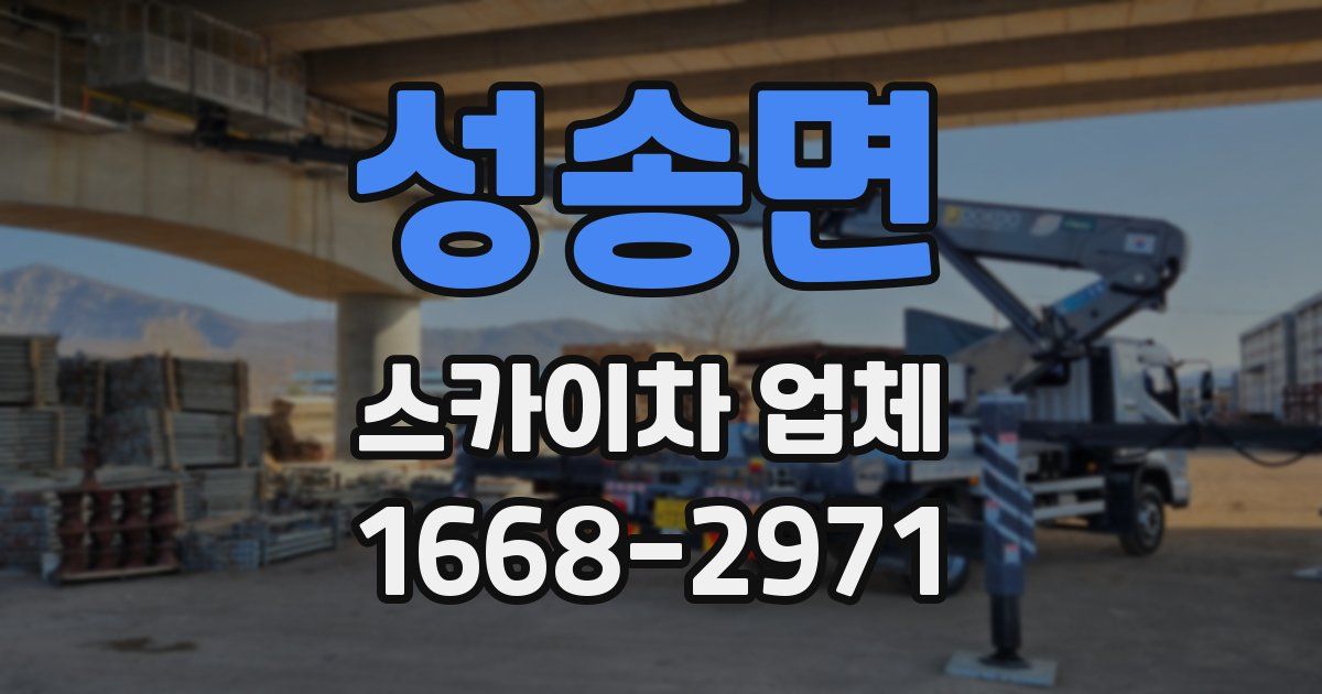 성송면 스카이차 업체