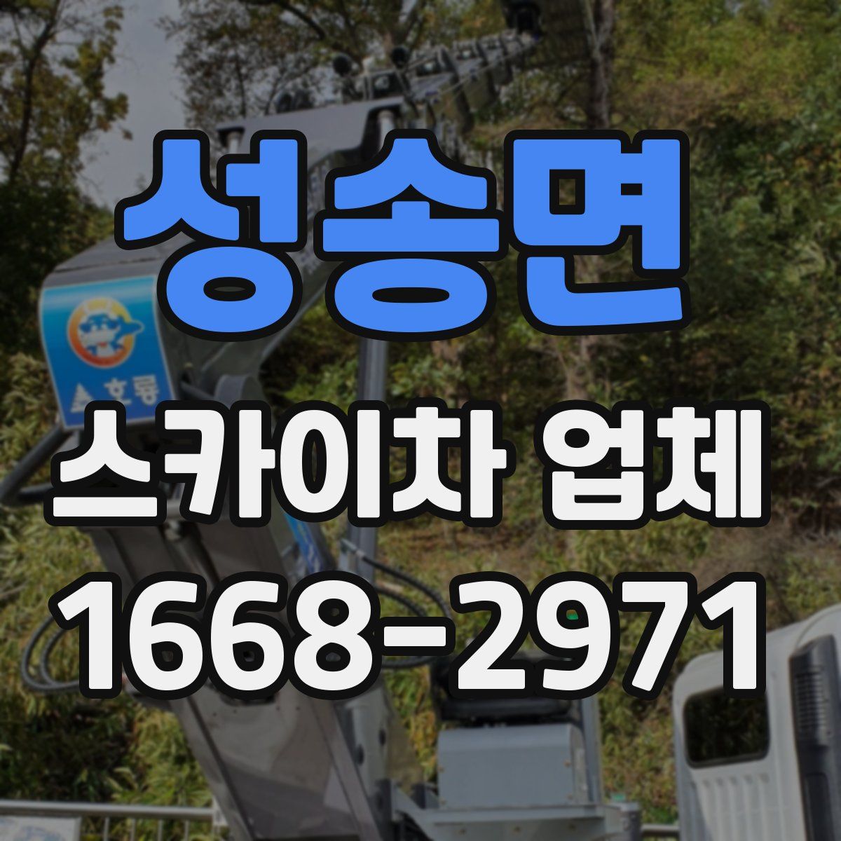 성송면 스카이차 업체