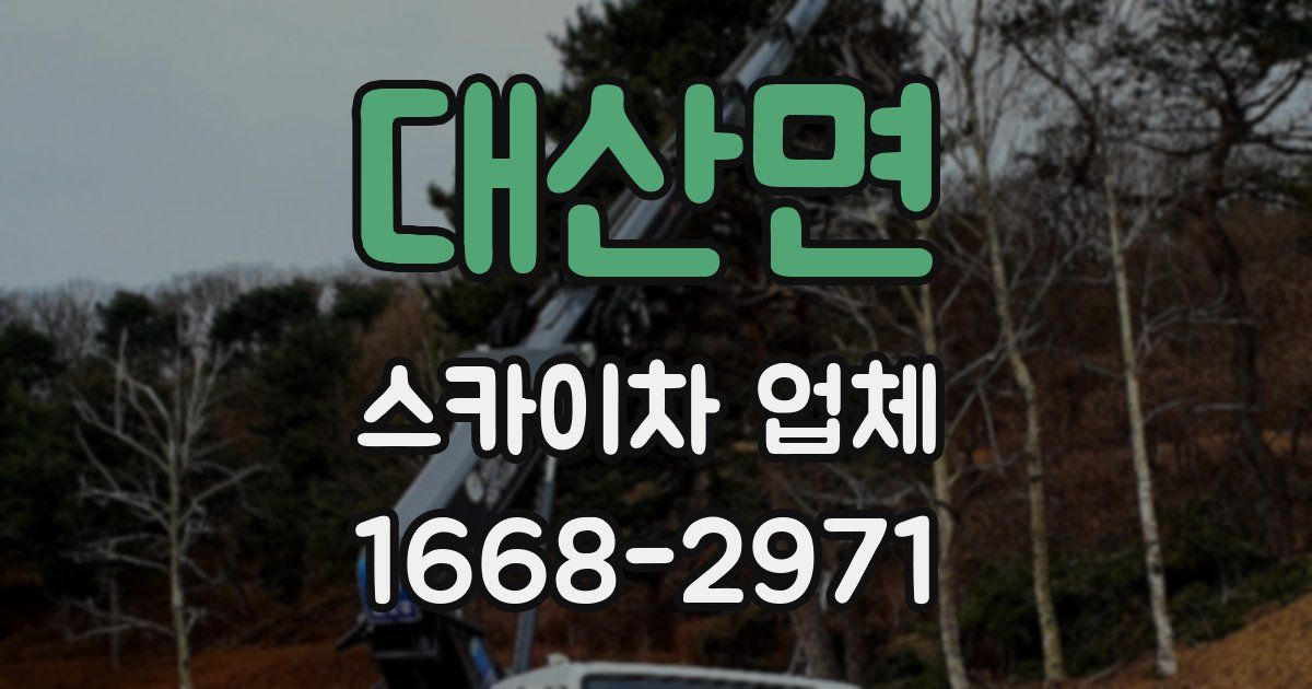 대산면 스카이차 업체