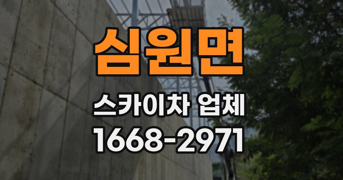 심원면 스카이차 업체