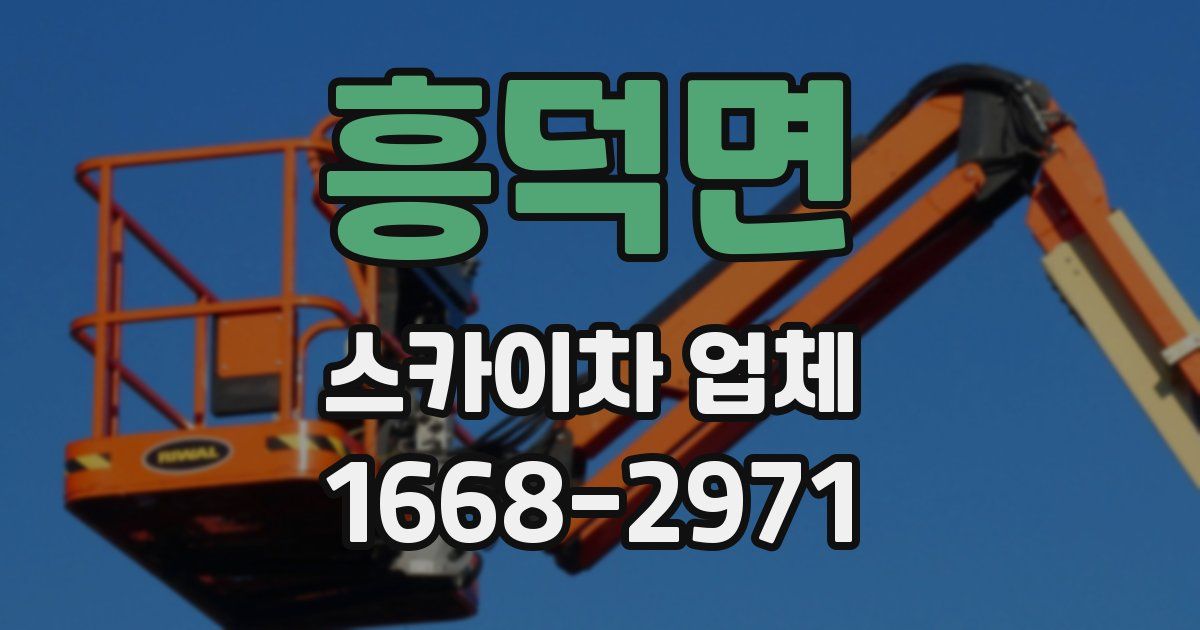 흥덕면 스카이차 업체