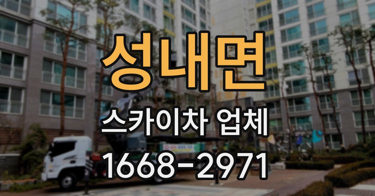 성내면 스카이차 업체
