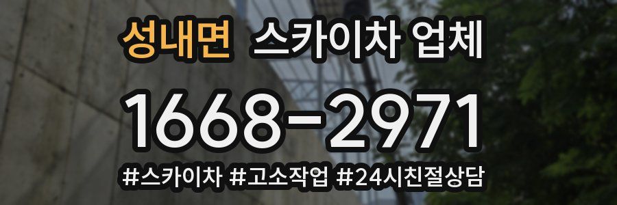 성내면 스카이차 업체